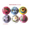 SERIE DE 6 CAPSULES DE CHAMPAGNE - BRIGITTE DRAVIGNY