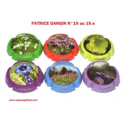 SERIE DE 6 CAPSULES DE CHAMPAGNE - PATRICE DANGIN (Fleurs de Montagne)