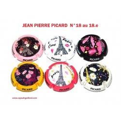 SERIE DE 6 CAPSULES DE CHAMPAGNE - PICARD J.P.P