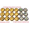 Promotion 18 Capsules de Champagne - ROGER CHEMIN et GAILLARD JOSE