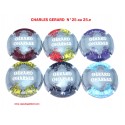 Série de 6 capsules de champagne - CHARLES GERARD N°25 au 25.e