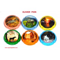 SERIE DE 6 CAPSULES DE CHAMPAGNE - OLIVIER PION