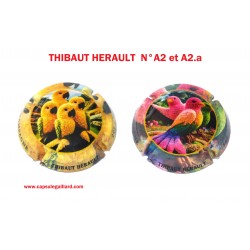 2 capsules de Champagne THIBAUT HERAULT N°A2