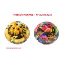2 capsules de Champagne THIBAUT HERAULT N°A2