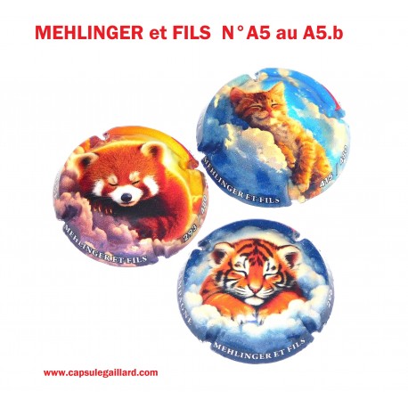 Série de 3 capsules de champagne MEHLINGER et FILS N°A5