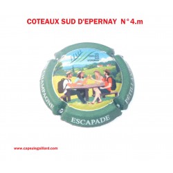Capsule de champagne - COTEAUX SUD D'EPERNAY N°4.m