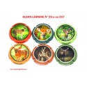 Série de 6 Capsules de Champagne ALBAN LEMAIRE N°29.a au 29.f