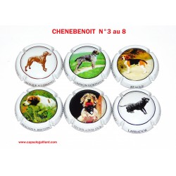 SERIE DE 6 CAPSULES DE CHAMPAGNE - CHENEBENOIT  N°9 au 9.g