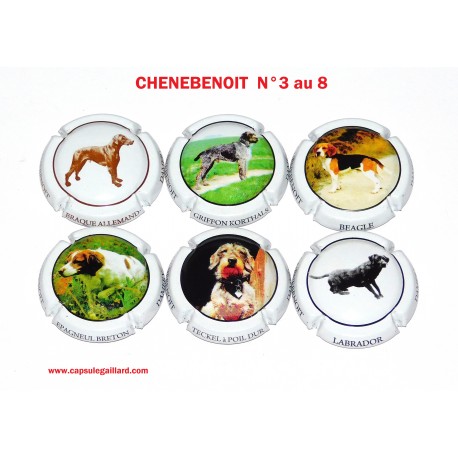 SERIE DE 6 CAPSULES DE CHAMPAGNE - CHENEBENOIT  N°9 au 9.g