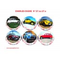 Série de 6 Capsules de Champagne CHARLES DUGNE N°27