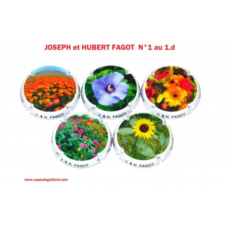 SERIE DE 5 CAPSULES DE CHAMPAGNE JOSEPH et HUBERT FAGOT N°1