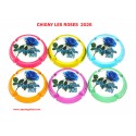 Série de 6 Capsules de Champagne CHIGNY LES ROSES 2026