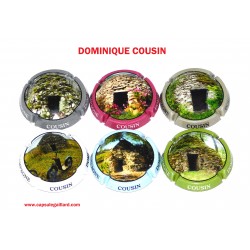 Série de 6 Capsules de Champagne DOMINIQUE COUSIN (Les Cadoles)