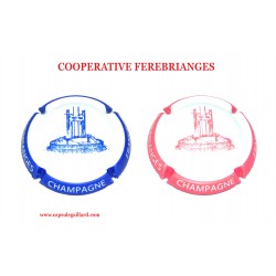 2 CAPSULES DE CHAMPAGNE - COOPERATIVE FEREBRIANGES