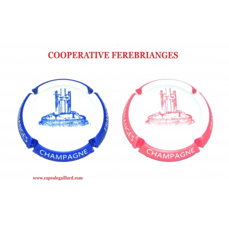 2 CAPSULES DE CHAMPAGNE - COOPERATIVE FEREBRIANGES