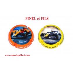 News- 2 Capsules de Champagne PINEL et FILS