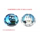 News- 2 Capsules de champagne COMTESSE LA FEE N°A63.a et A63.b