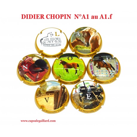 Série de 7 capsules de Champagne  DIDIER CHOPIN  N°A1 au A1.f