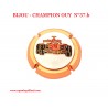 Capsule BIJOU -CHAMPION OUY N°37.b