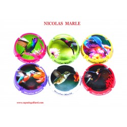 News- Série de 6 Capsules de Champagne NICOLAS MARLE