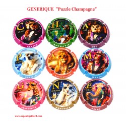 News- Série de 9 Capsules de Champagne GENERIQUES "Puzzle Champagne"