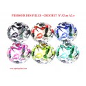 Série de 6 capsules de champagne  PRESSOIR DES FILLES N°A2 au A2.e