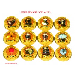 SERIE DE 12 CAPSULES DE CHAMPAGNE  ANSEL LEMAIRE N°22 au 22.k