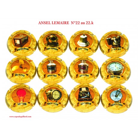 SERIE DE 12 CAPSULES DE CHAMPAGNE  ANSEL LEMAIRE N°22 au 22.k