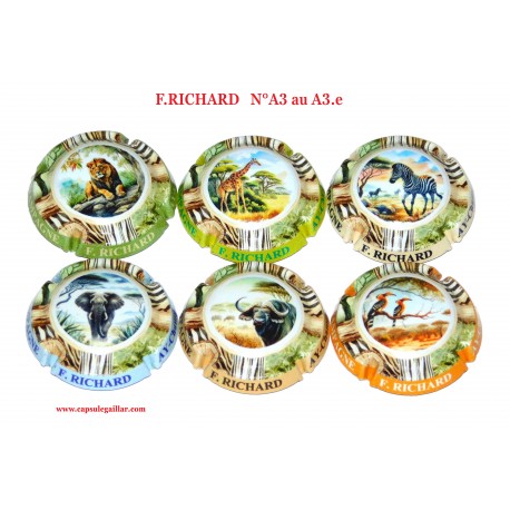 SERIE DE 6 CAPSULES DE CHAMPAGNE  F.RICHARD  N°A3 au A3.e