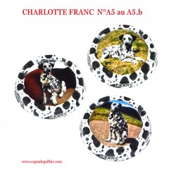 SERIE DE 3 CAPSULES DE CHAMPAGNE  CHARLOTTE FRANC  N°A5 au A5.b
