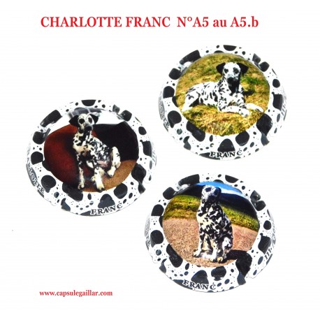 SERIE DE 3 CAPSULES DE CHAMPAGNE  CHARLOTTE FRANC  N°A5 au A5.b