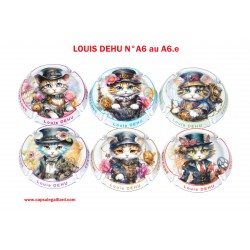 Série de 6 Capsules de champagne LOUIS DEHU N°A6 au A6.e