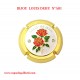 CAPSULE BIJOU - LOUIS DEHU N°A81