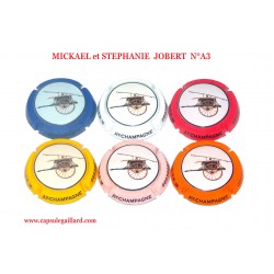 Série de 6 capsules de Champagne MICKAEL et STEPHANIE JOBERT  N°A.3