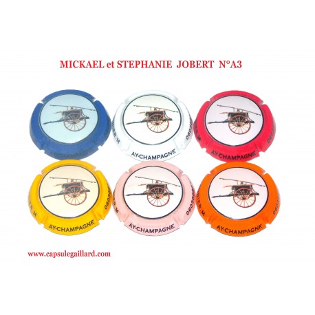 Série de 6 capsules de Champagne MICKAEL et STEPHANIE JOBERT  N°A.3