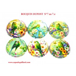Série de 6 capsules de Champagne BOUQUIN DUPONT  N°7