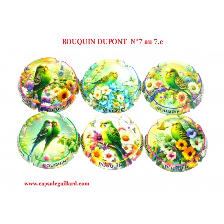 Série de 6 capsules de Champagne BOUQUIN DUPONT  N°7