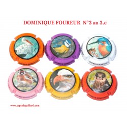 SERIE DE 6 CAPSULES de CHAMPAGNE -  DOMINIQUE FOUREUR