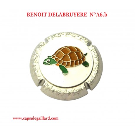 CAPSULE BIJOU BENOIT DELABRUYERE  A6.b