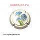 CAPSULE BIJOU CHAMPION OUY  N°41