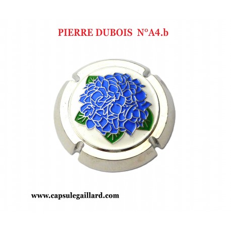 CAPSULE BIJOU PIERRE DUBOIS  N°A4.b