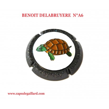 CAPSULE BIJOU BENOIT DELABRUYERE  N°A6